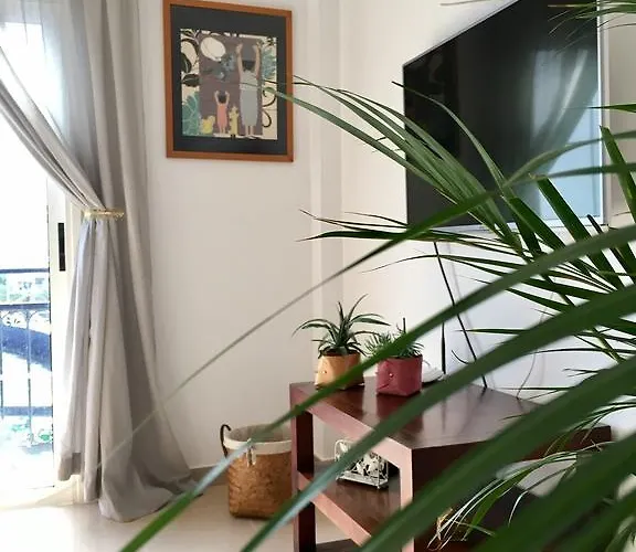 La Ballena Del Charco