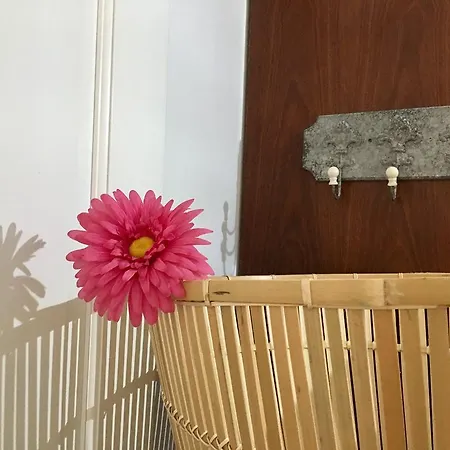 La Ballena Del Charco Apartman *