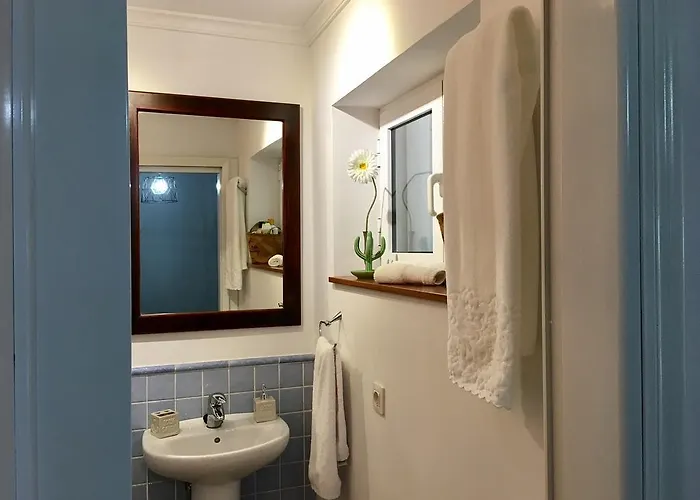 La Ballena Del Charco * アレシフェ