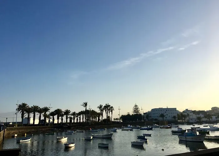 La Ballena Del Charco アレシフェ