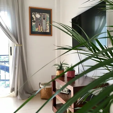 La Ballena Del Charco